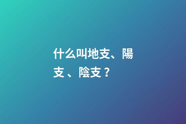 什么叫地支、陽支、陰支？